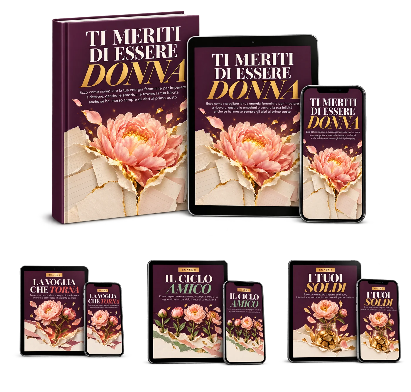 La guida e i tre bonus, tutto il pacchetto